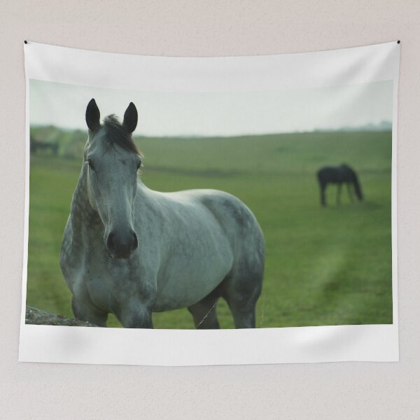 Item preview, Interested Horse designed and sold by glynk.