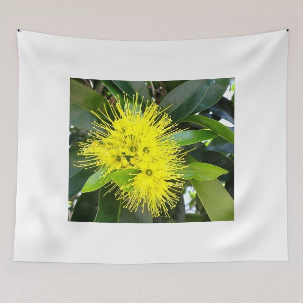 Item preview, Golden Panda Australian Native Plant. designed and sold by sandysartstudio.