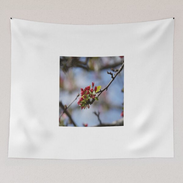 Item preview, Spring Blossoms in the Southern Hemisphere designed and sold by RGKphotos.