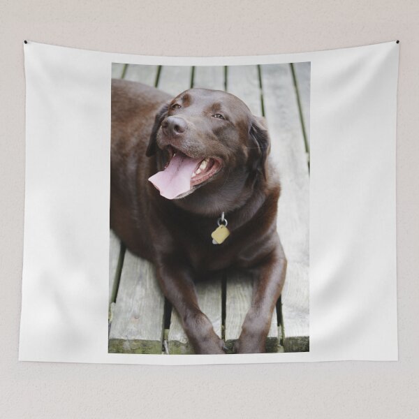 Item preview, Bella designed and sold by Jennifer Hakin.