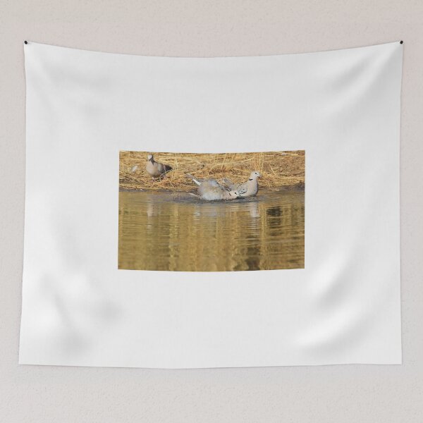 Item preview, Cape Turtle Dove - Summer Swim - African Wild Birds designed and sold by LivingWild.