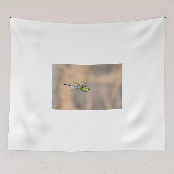Item preview, Emperor dragonfly  (Anax imperator) designed and sold by chris2766.