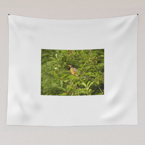 Item preview, Robin Red-Breast designed and sold by Martha Medford.