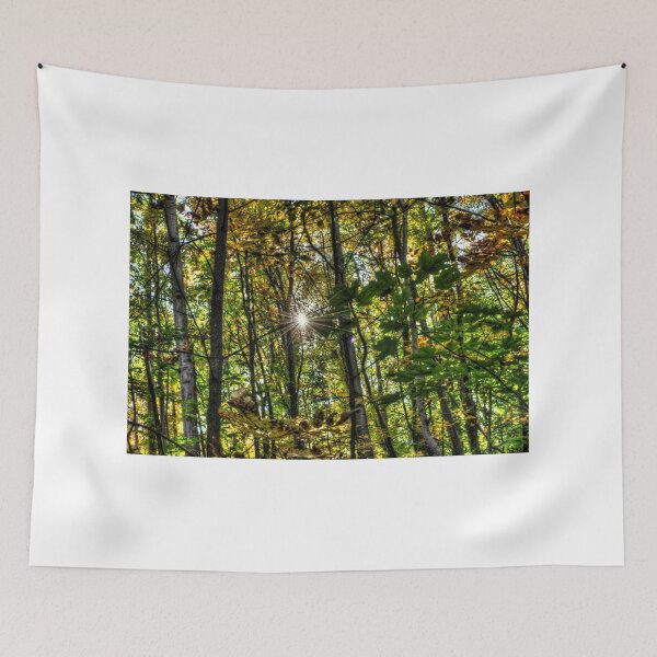 Item preview, Autumn Lights  designed and sold by Rich Fletcher.