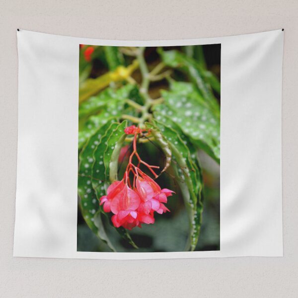 Item preview, simplicity can be beautiful designed and sold by Lesleymc77.