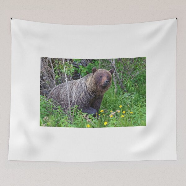 Item preview, Where did you come from?! designed and sold by James (820Photography) Anderson.