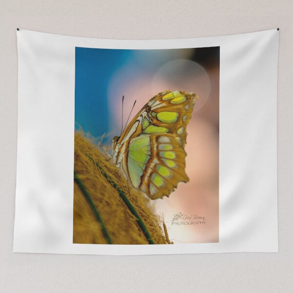 Item preview, 161 designed and sold by Rrea Brown Photography.