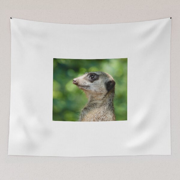 Item preview, Meerkat designed and sold by GD-Images.