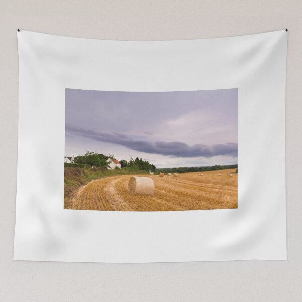 Item preview, Straw bales designed and sold by chris2766.