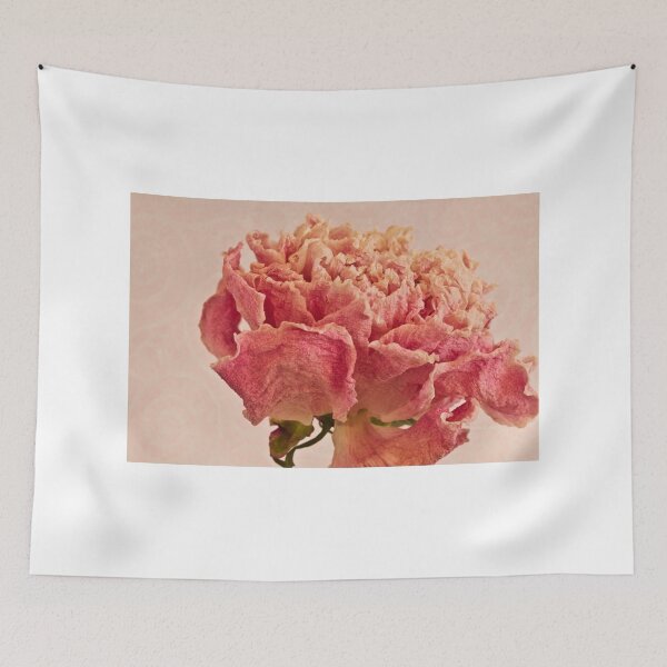 Item preview, Dried Peony Macro - Textured Background  designed and sold by Sandra Foster.