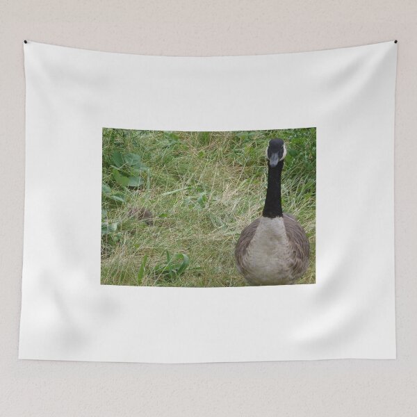 Item preview, He thinks I can't see him. Huh I can. designed and sold by Sandra Willis.