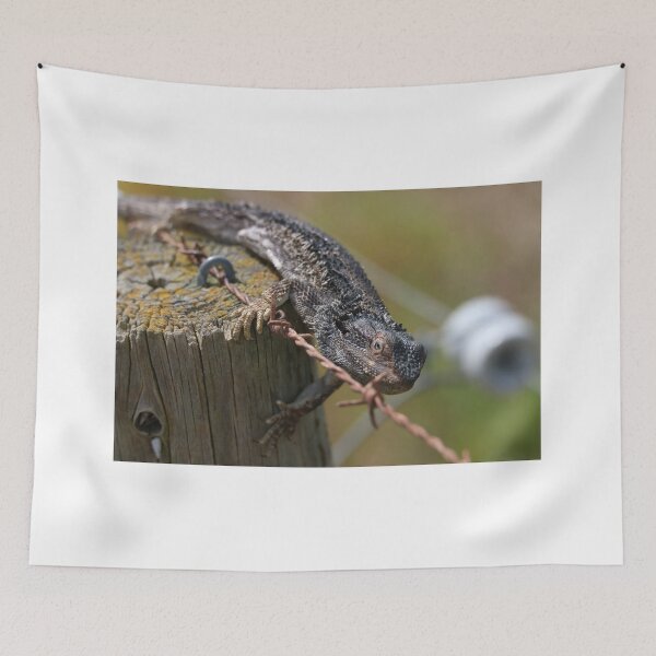 Item preview, Fencing Lizard designed and sold by Stuart Daddow Photography.