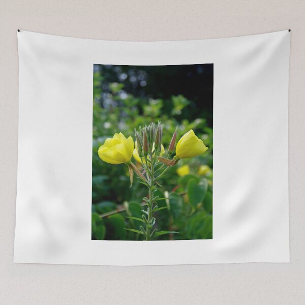 Item preview, Evening Primrose designed and sold by lezvee.