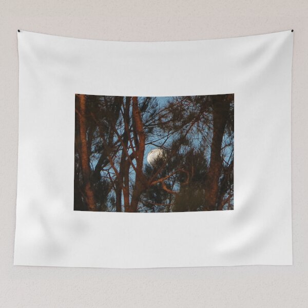 Item preview, Hidden Moon in Lost Valley designed and sold by Digby.
