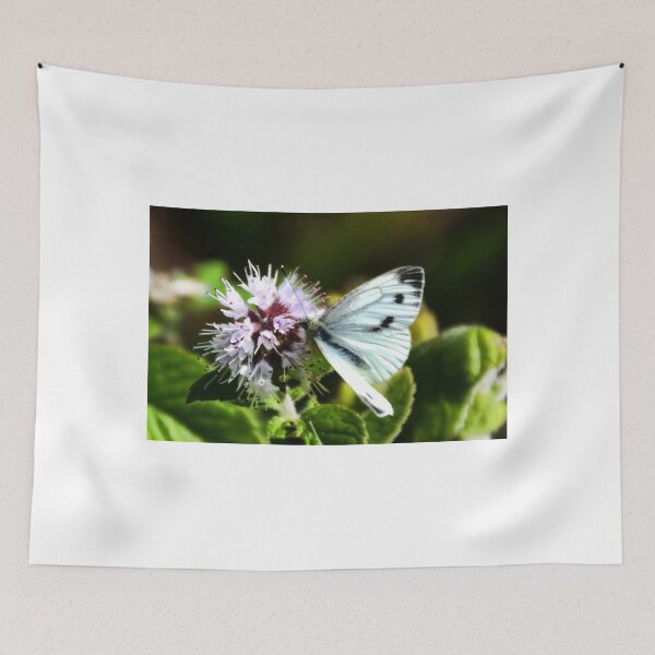 Item preview, Butterfly ......... designed and sold by lynn carter.