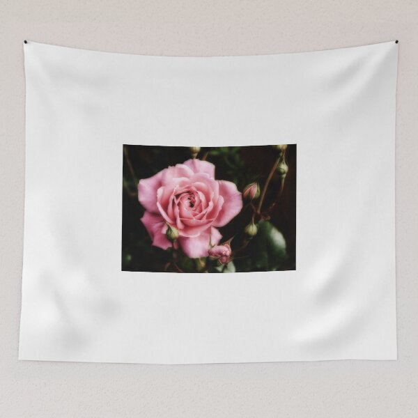 Artikelvorschau, Romantic Rose entworfen und verkauft von Mike Cave.