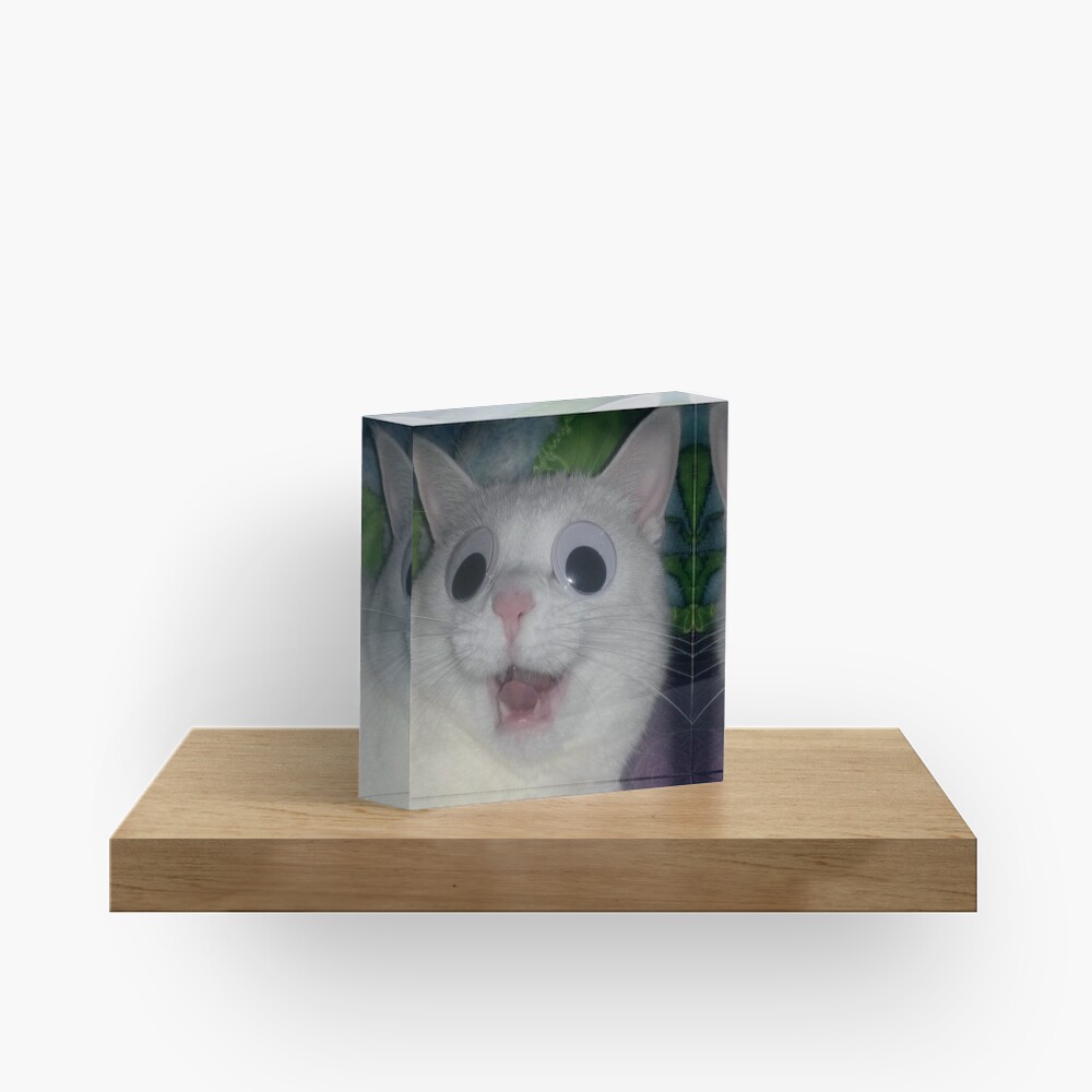 Meme Cat