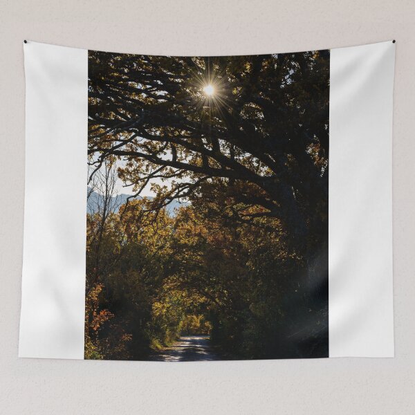 Item preview, Una strada di campagna, Monticchiello, Toscana, Italia designed and sold by AndrewJonesFoto.