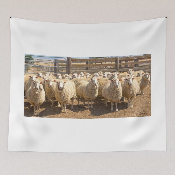 Item preview, Yarded......off to the shearing shed..... designed and sold by mitpjenkeating.
