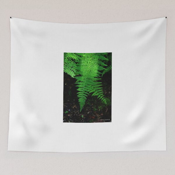Item preview, Ferns in the Light designed and sold by Gilda Axelrod.