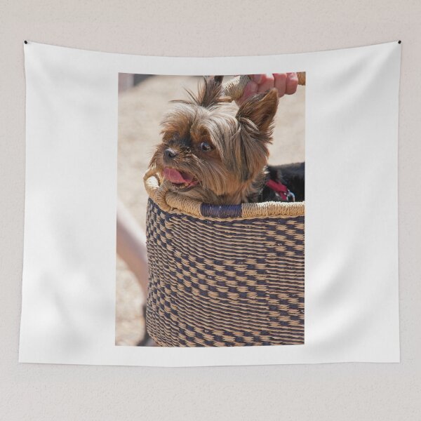 Item preview, Barely A Basketful designed and sold by phil decocco.