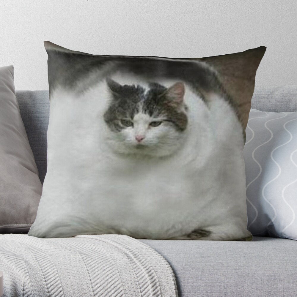 https://ih1.redbubble.net/image.801098416.5029/throwpillow,large,1000x-bg,f8f8f8-c,0,200,1000,1000.u3.jpg