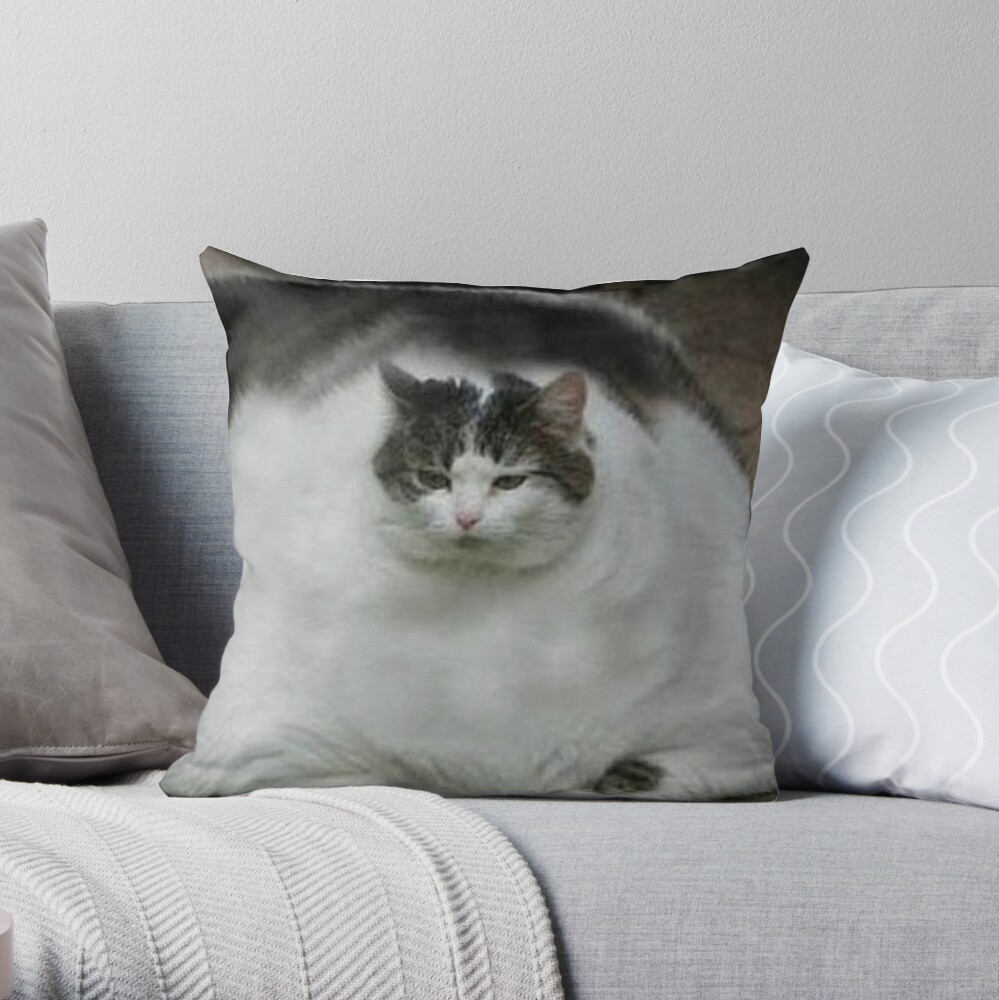 cat throw pillow