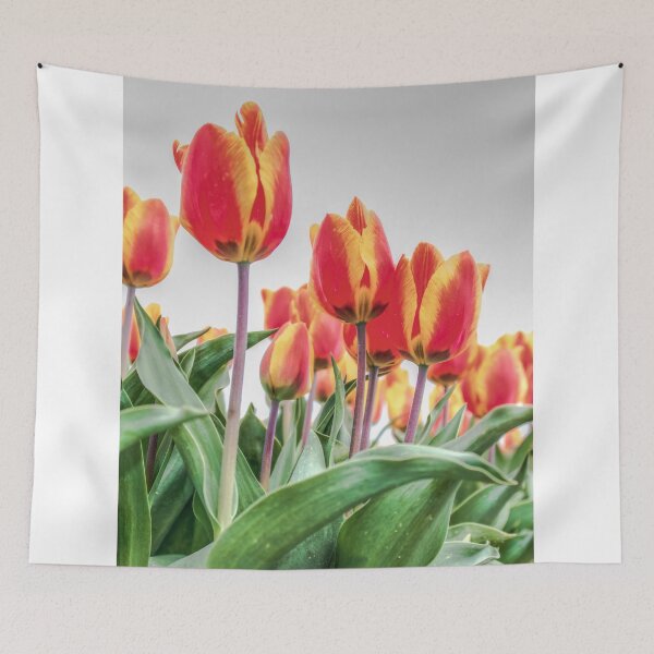Item preview, Dutch Tulips part 2 designed and sold by AlexFHiemstra.