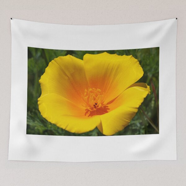Item preview, Big Poppy Flower Golden Orange Yellow Silky designed and sold by BasleeArtPrints.
