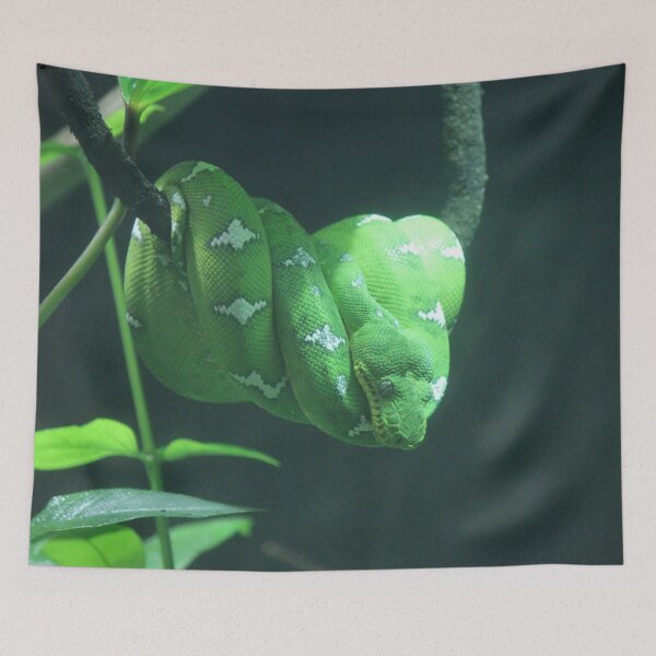Item preview, Green Tree Python designed and sold by Bob Hardy.