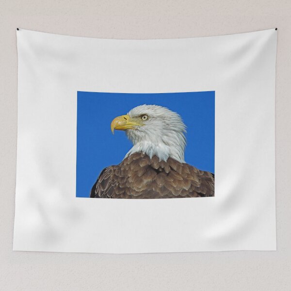 Item preview, Bald Eagle Profile! designed and sold by Anthony Goldman.