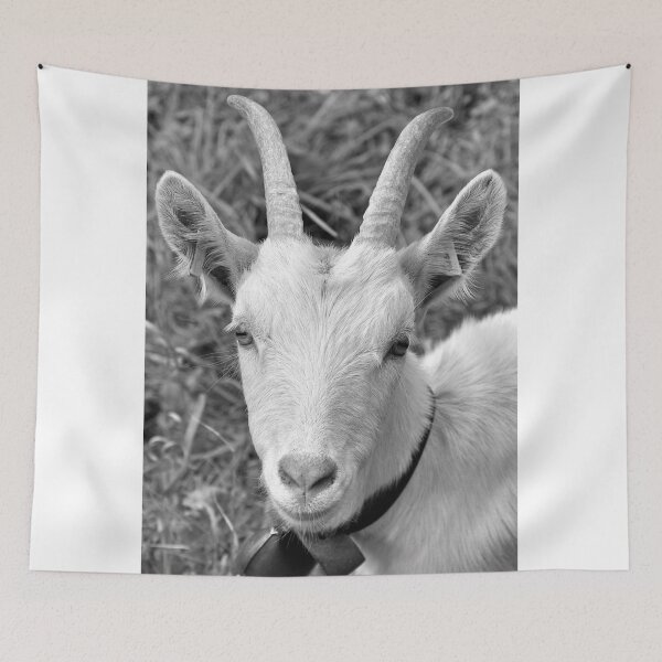 Artikelvorschau, White Goat entworfen und verkauft von itchingink.