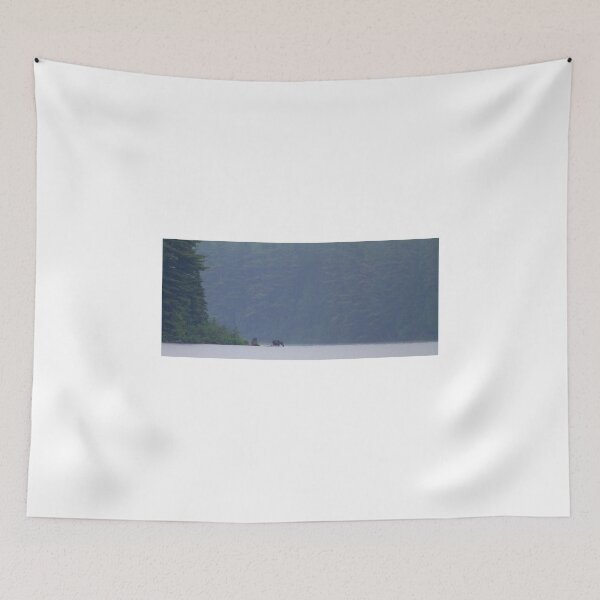 Item preview, Early morning moose, Algonquin Park, Canada designed and sold by James Cumming.