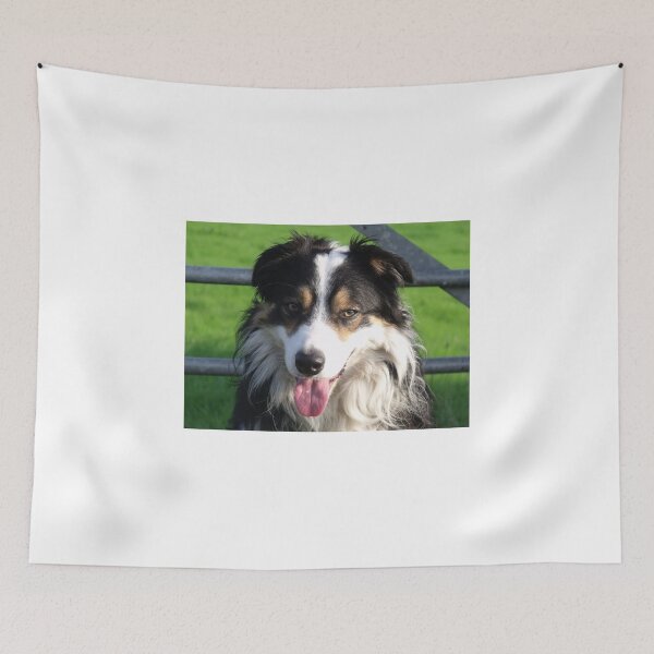 Item preview, The Grace of Laddie. designed and sold by Michael Haslam.