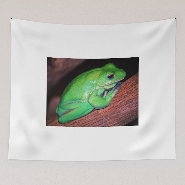 Item preview, Tree Frog designed and sold by BuffaloBob.