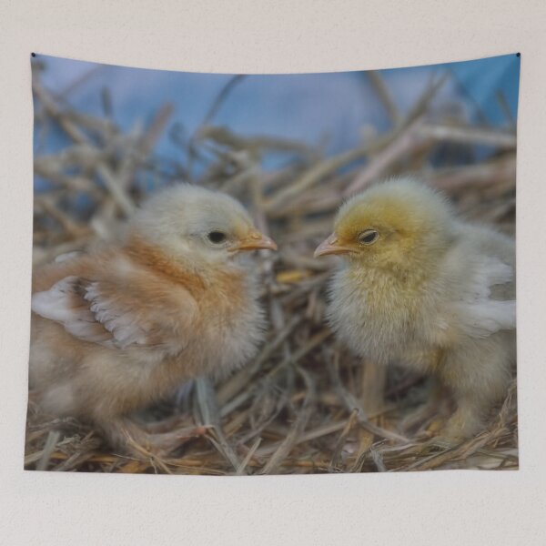 Item preview, Poopsie and Oopsie designed and sold by Heather Haderly.