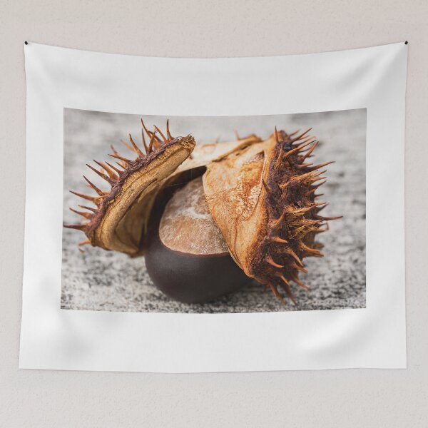 Item preview, Horse Chestnut designed and sold by TonyPriestley.