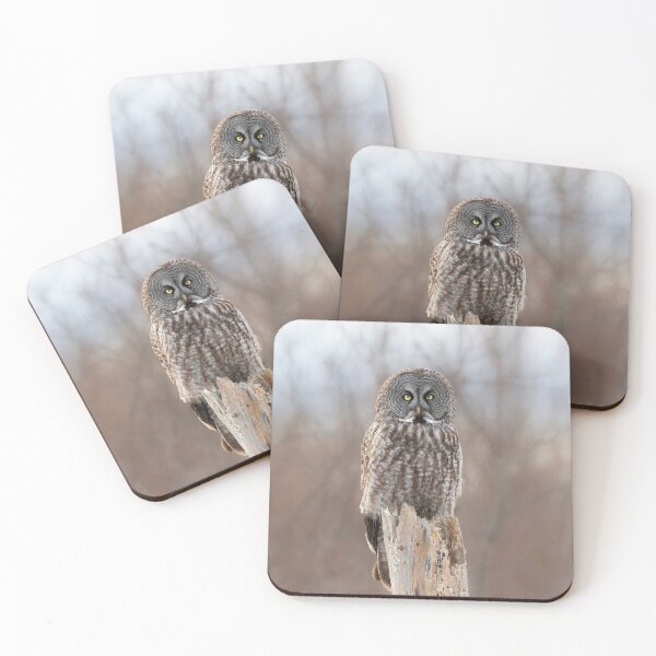 Item preview, Stumped - Great grey owl designed and sold by James Cumming.