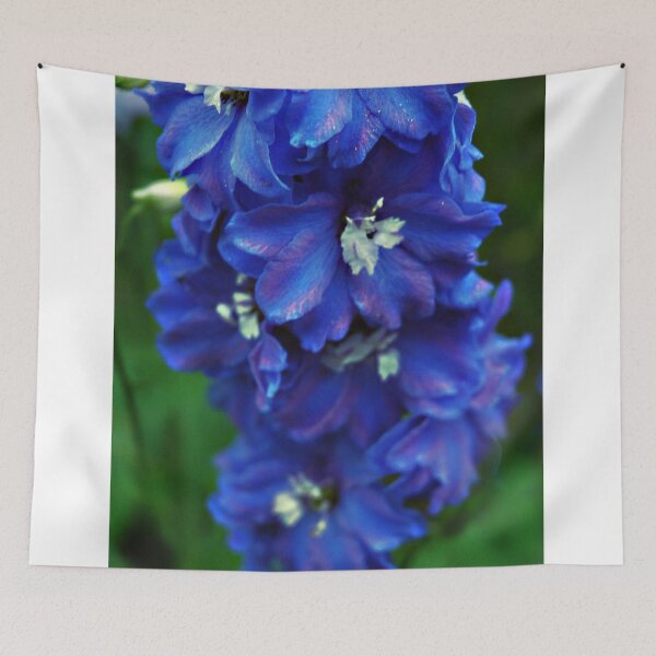 Item preview, Summer Beauty designed and sold by Holly Werner.