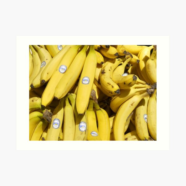 Food - bananas (Bonita #4011) Art Print