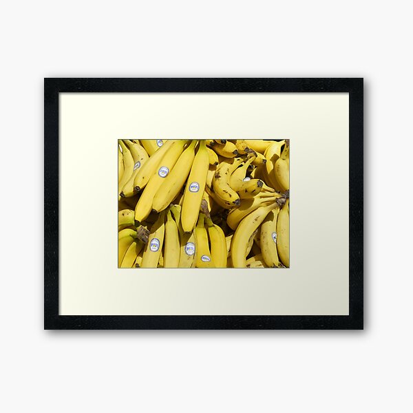 Food - bananas (Bonita #4011) Framed Art Print