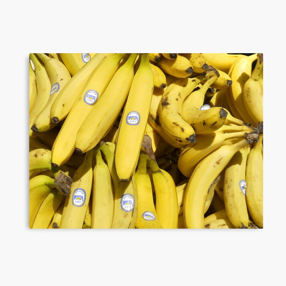 Food - bananas (Bonita #4011) Canvas Print