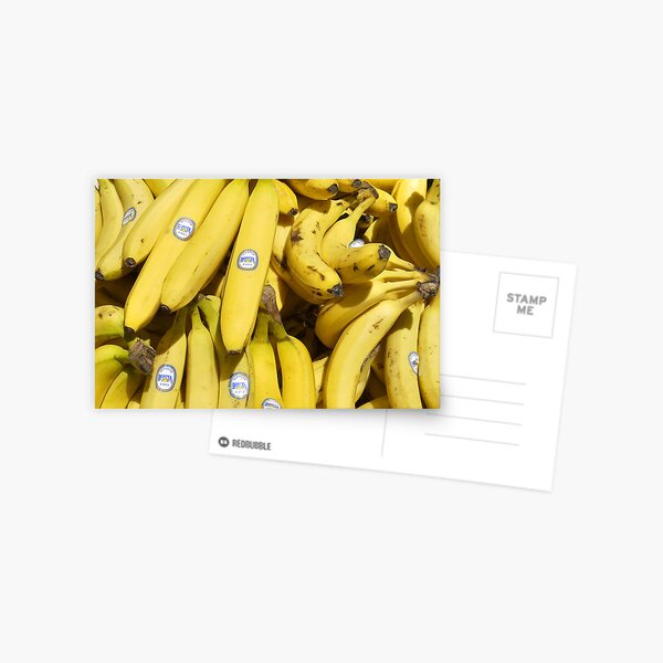 Food - bananas (Bonita #4011) Postcard