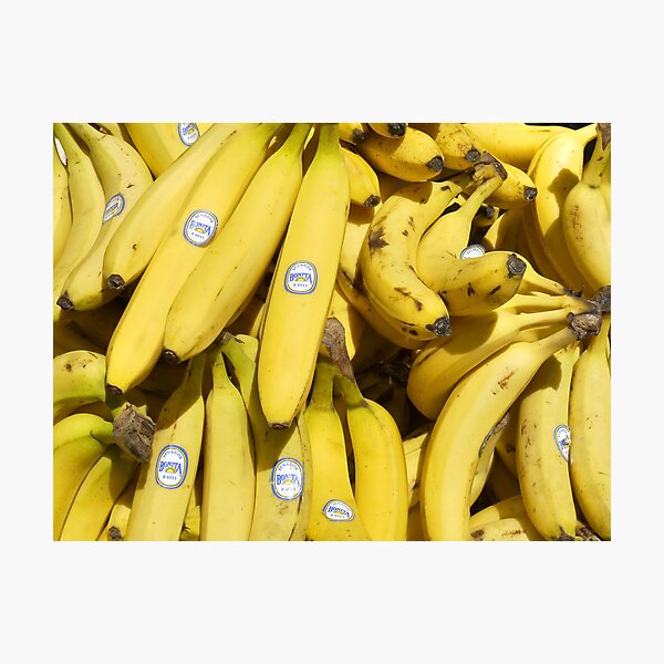 Food - bananas (Bonita #4011) Photographic Print
