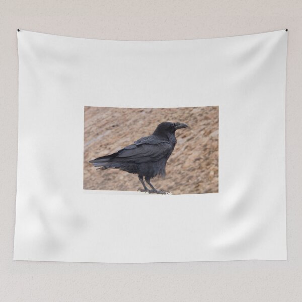 Item preview, Raven  designed and sold by chris2766.
