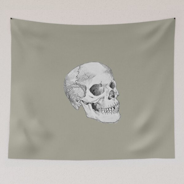 Item preview, Anatomical Skull View Illustration (Realism) designed and sold by moloriki.