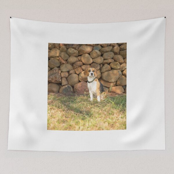 Item preview, Roxie.... Beautiful Beagle.... designed and sold by mitpjenkeating.