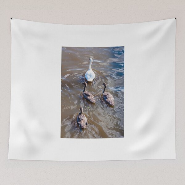 Item preview, Beautiful swan familiy with nestlings in lake designed and sold by Stanciuc.