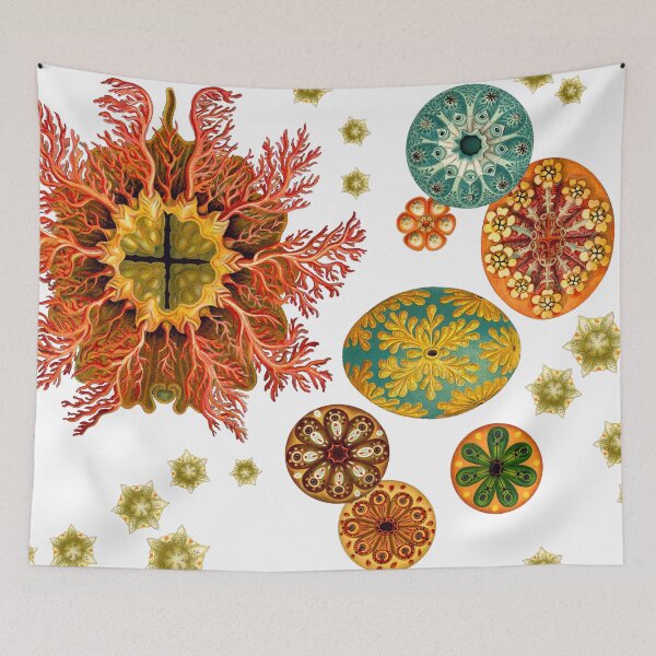 Item preview, Sea Squirt Redux designed and sold by decoratif.