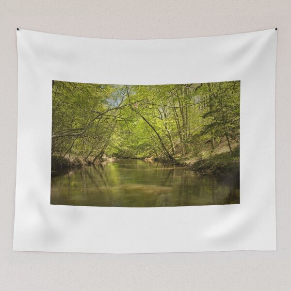 Item preview, Spring along Moccasin Creek  designed and sold by Kelvin Taylor.